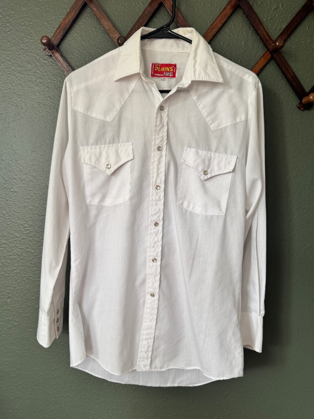 Vintage 80s/90s Ely Plains Pearl Snap Western Shirt ๐ค โจ